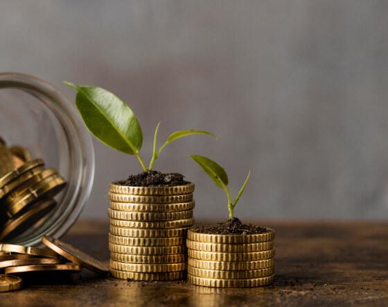 Mutual fund