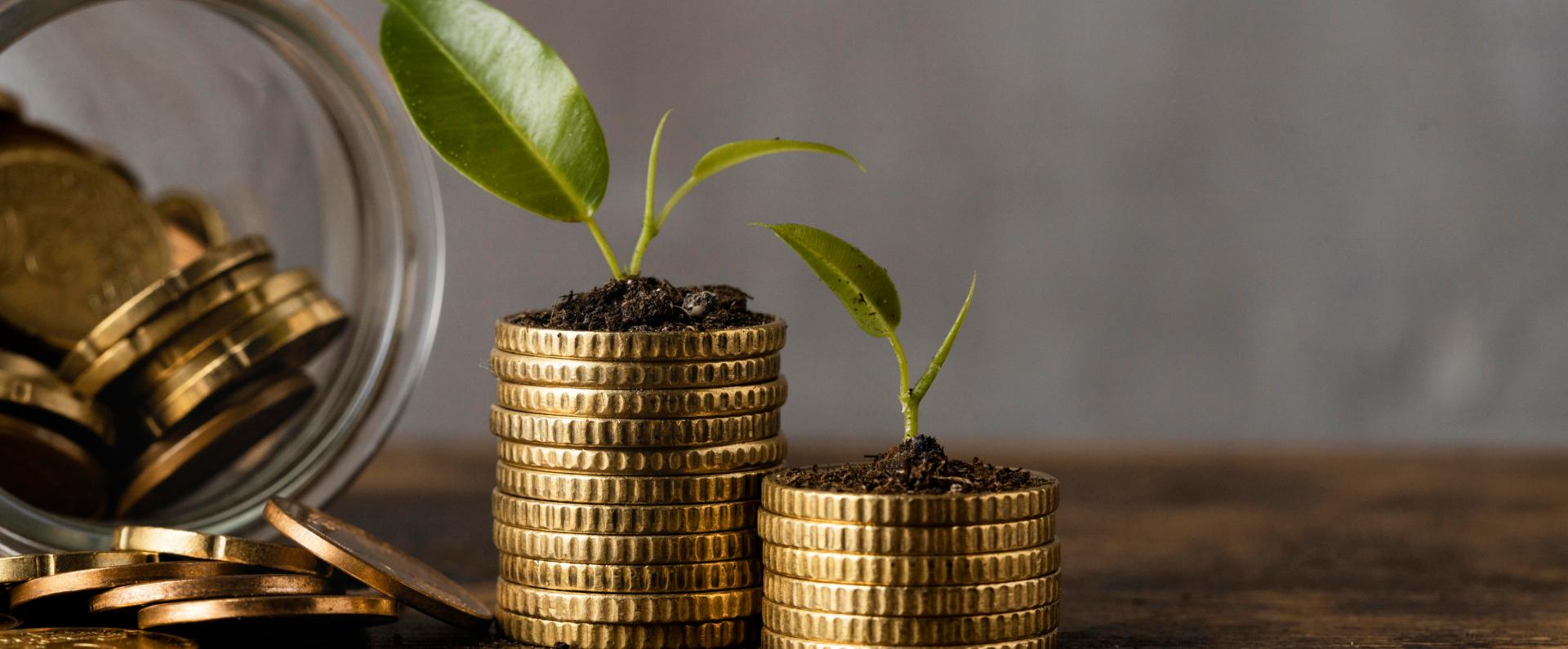 Expertly guiding your investments toward success